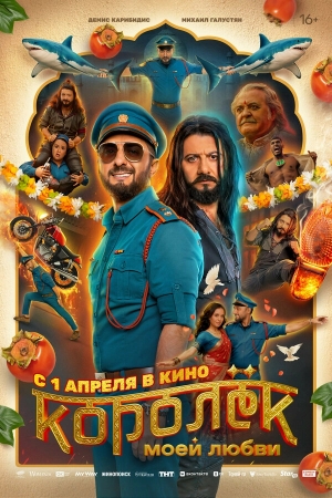 Королёк моей любви бесплатно в HD