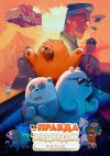 Вся правда о медведях: Фильм бесплатно в HD